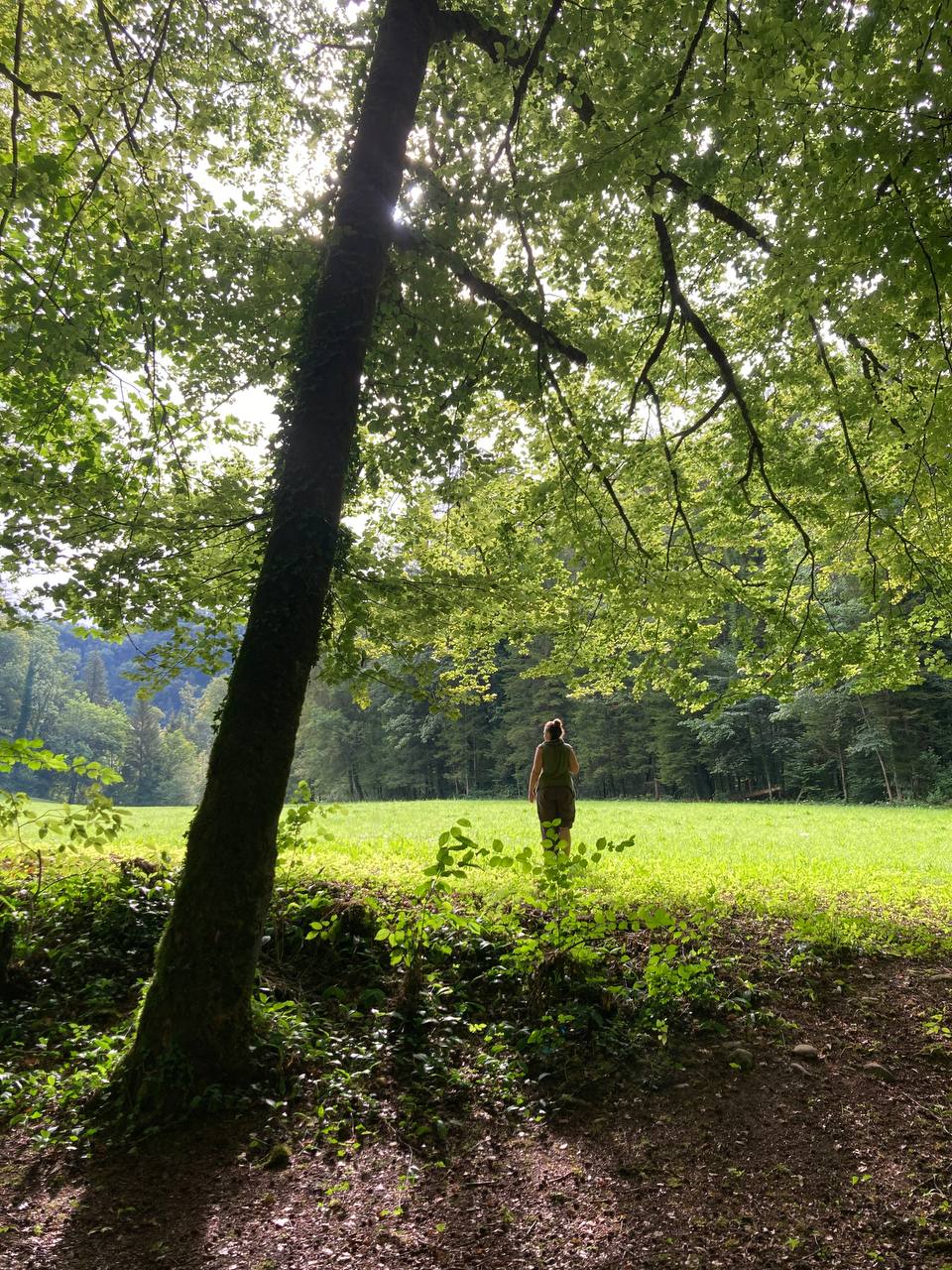 Activités de connexion à la nature pour adultes