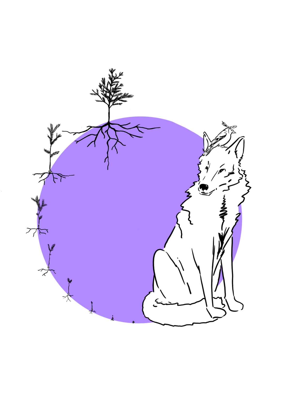 Les Lund'Ifs
©Manon_Lalondrelle